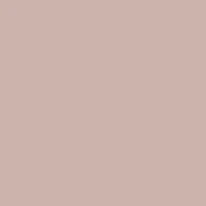 Duo Brush Face - Image 7